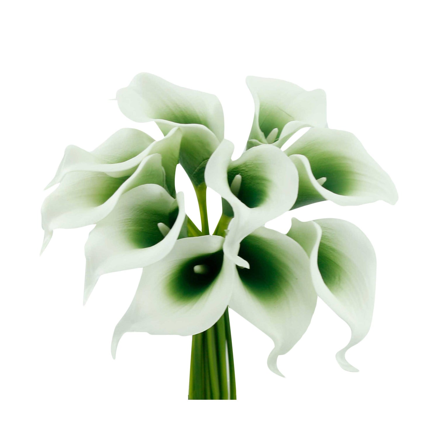 Pack of 10-real touch calla lily green color palette: Clover Green