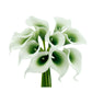 Pack of 10-real touch calla lily green color palette: Picasso Clover Green