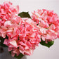 24"Lux Designer-Grade Ultra-Realistic Hydrangea–(7"Bloom): Elegant Brown