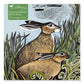Adult Jigsaw Puzzle Angela Harding: Rathlin Hares (500 pieces) by: Jigsaw; 1 pages / English