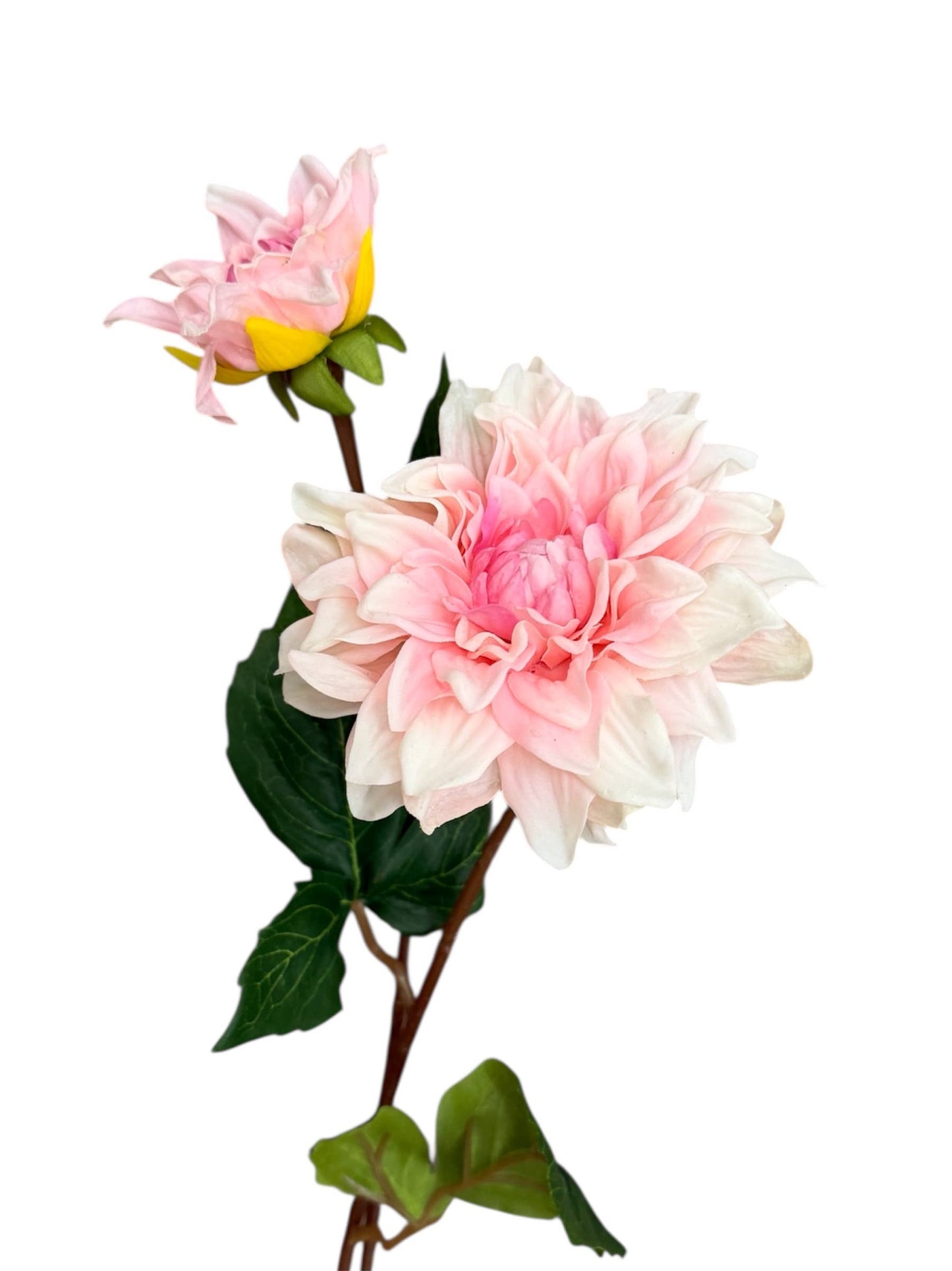 24" Lifelike Real Touch Dahlia -2 flowers: Natural White