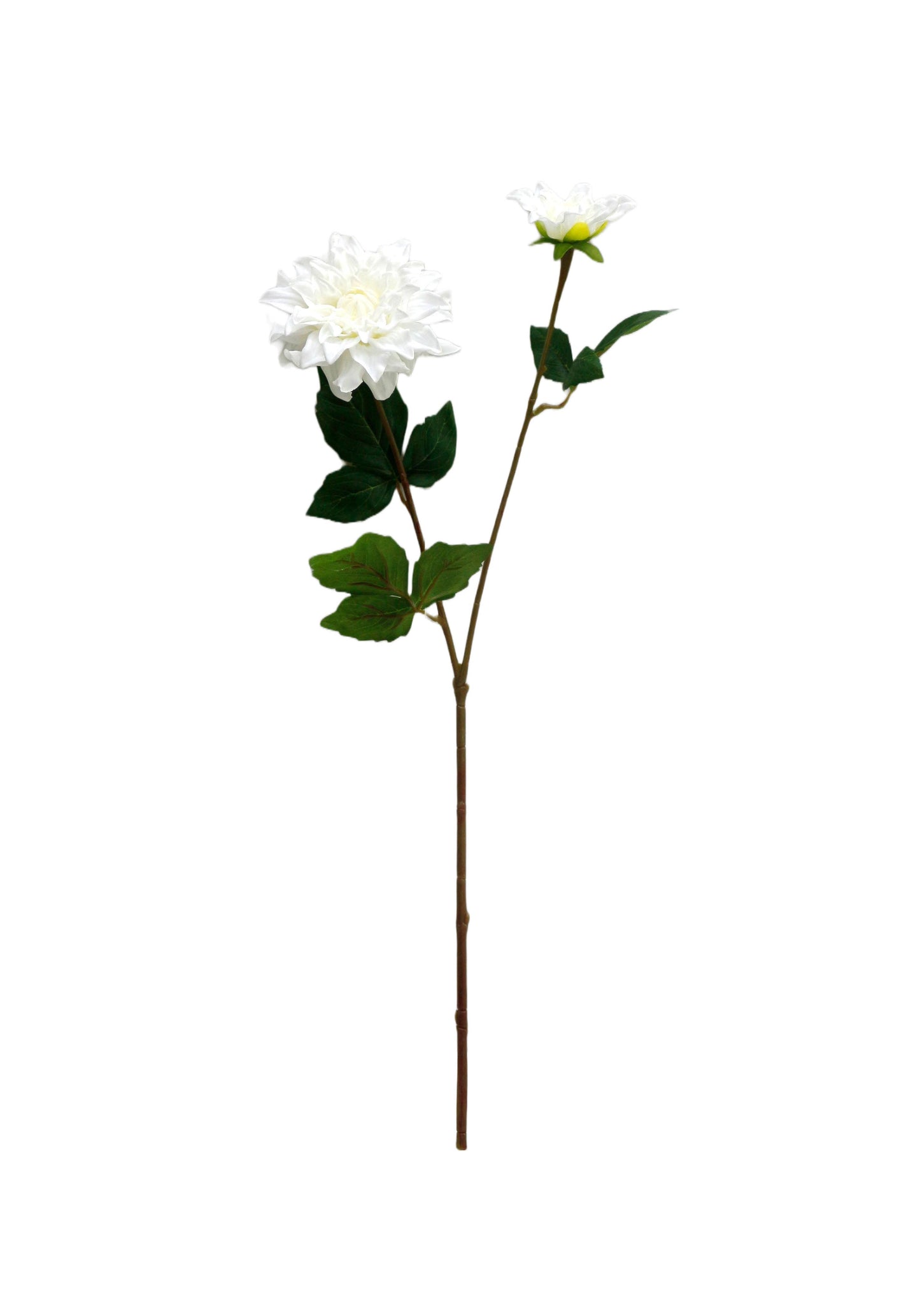 24" Lifelike Real Touch Dahlia -2 flowers: Natural White