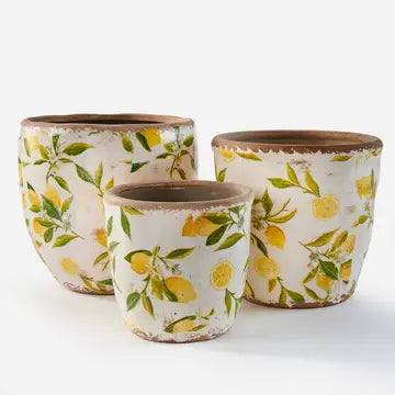 Ceramic Rnd Planter W/Lemon,Lg