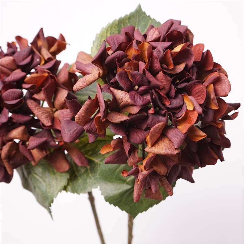 24"Lux Designer-Grade Ultra-Realistic Hydrangea–(7"Bloom): Elegant Brown