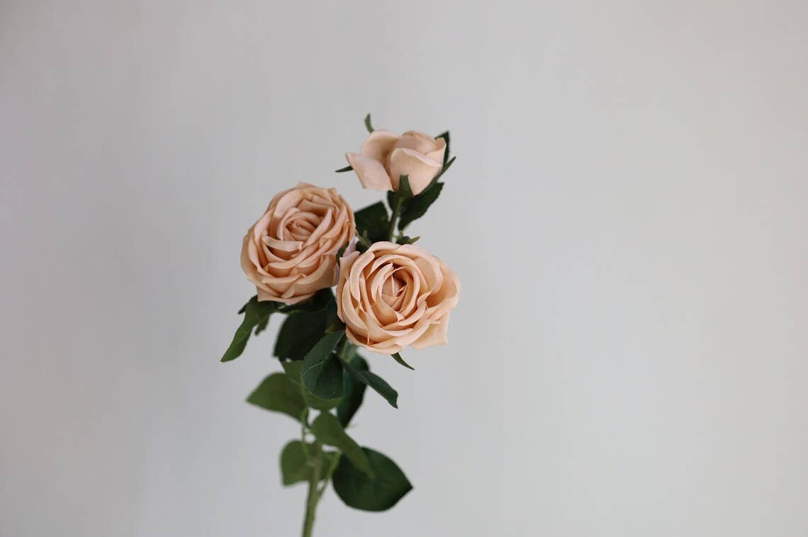 Real Touch Cabbage Rose: Dark Mocha 28.75”