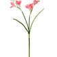 20" Soft Real Touch  Freesia: Soft Coral