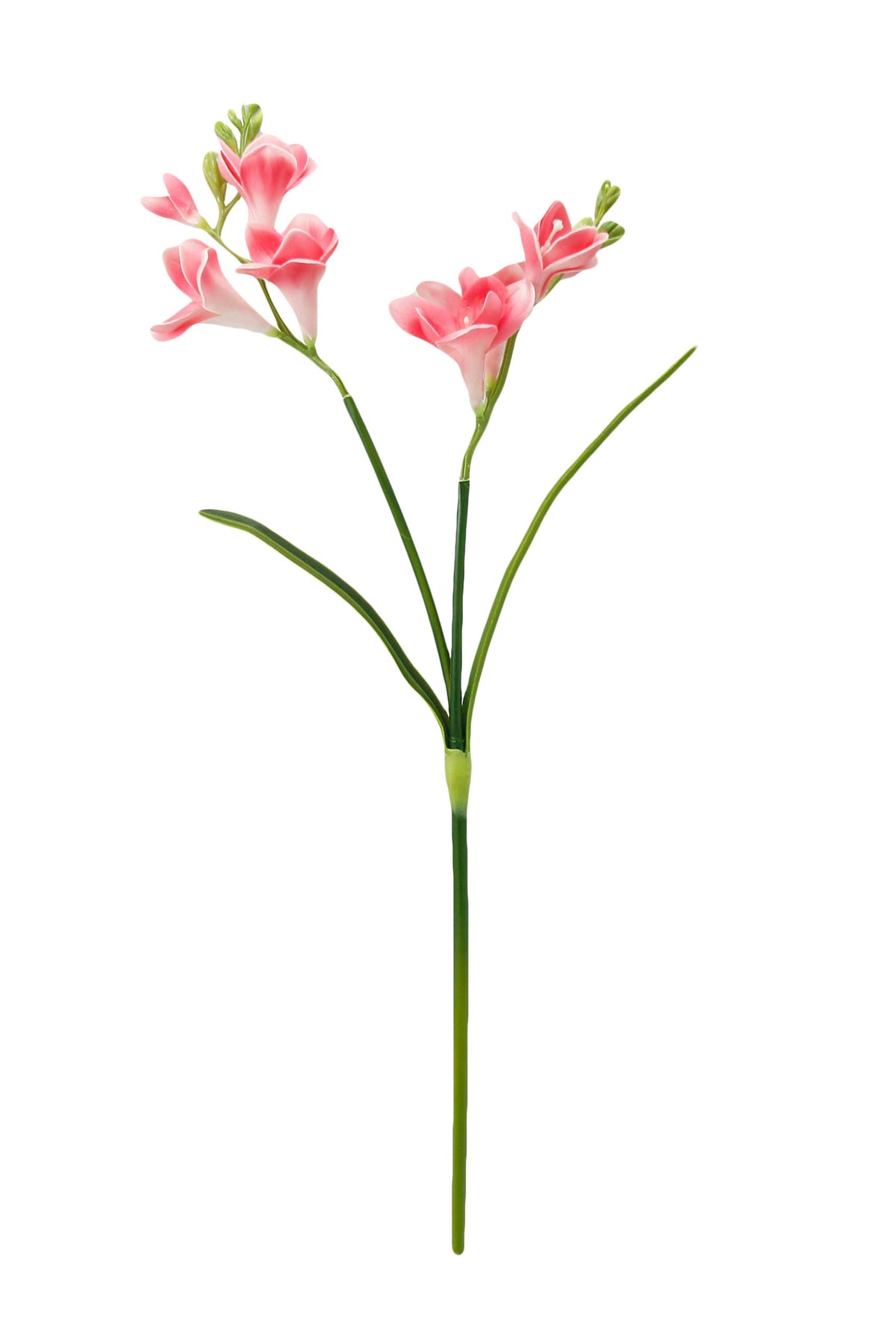 20" Soft Real Touch  Freesia: Soft Coral