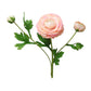 18" Real Touch Ranunculus: Coral