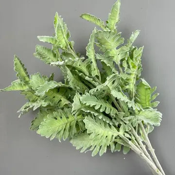 Frosted Dusty Miller