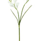 20” Freesia with 2 sprays