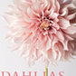 Dahlias; Beautiful Varieties for Home & Garden