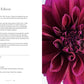Dahlias; Beautiful Varieties for Home & Garden