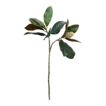 Magnolia Branch - Real Touch
