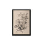 24x36 Sketched Botanical Set