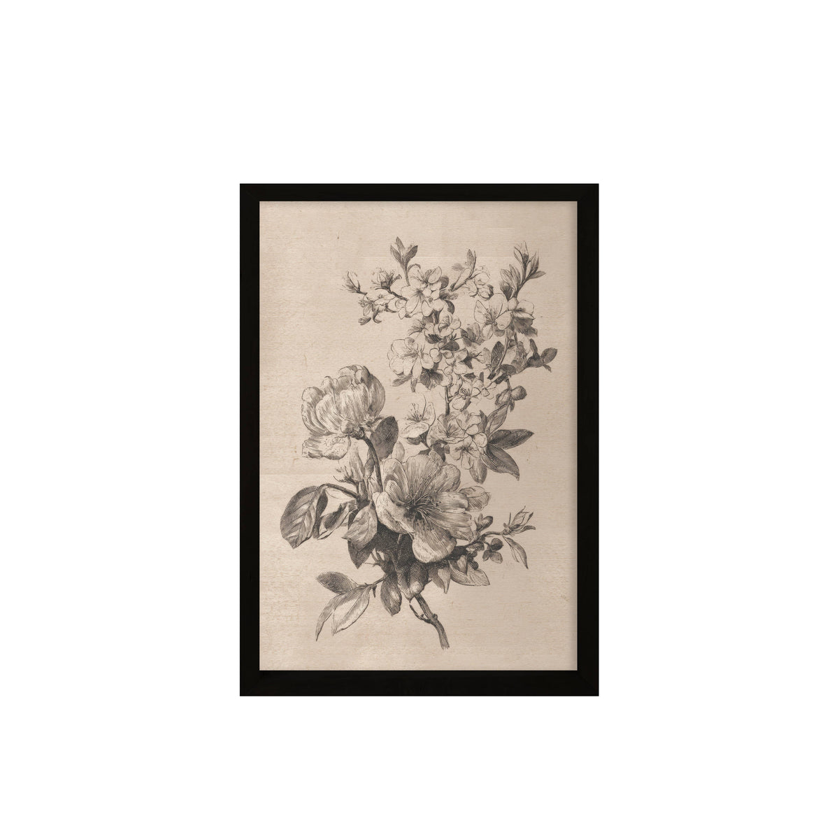 24x36 Sketched Botanical Set
