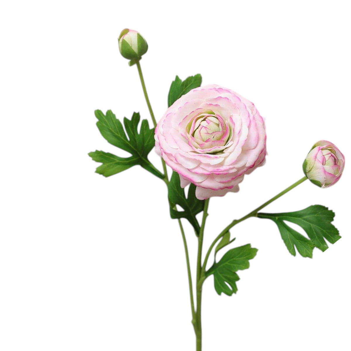 18" Real Touch Ranunculus: Coral