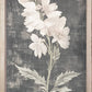 35x18 Dark Vintage Botanicals