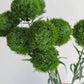 21.5" Realistic Faux Dianthus Green Ball Fresh Green stem: Fresh Green