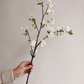 Cherry Blossom Branch : Light Pink / Short-19"