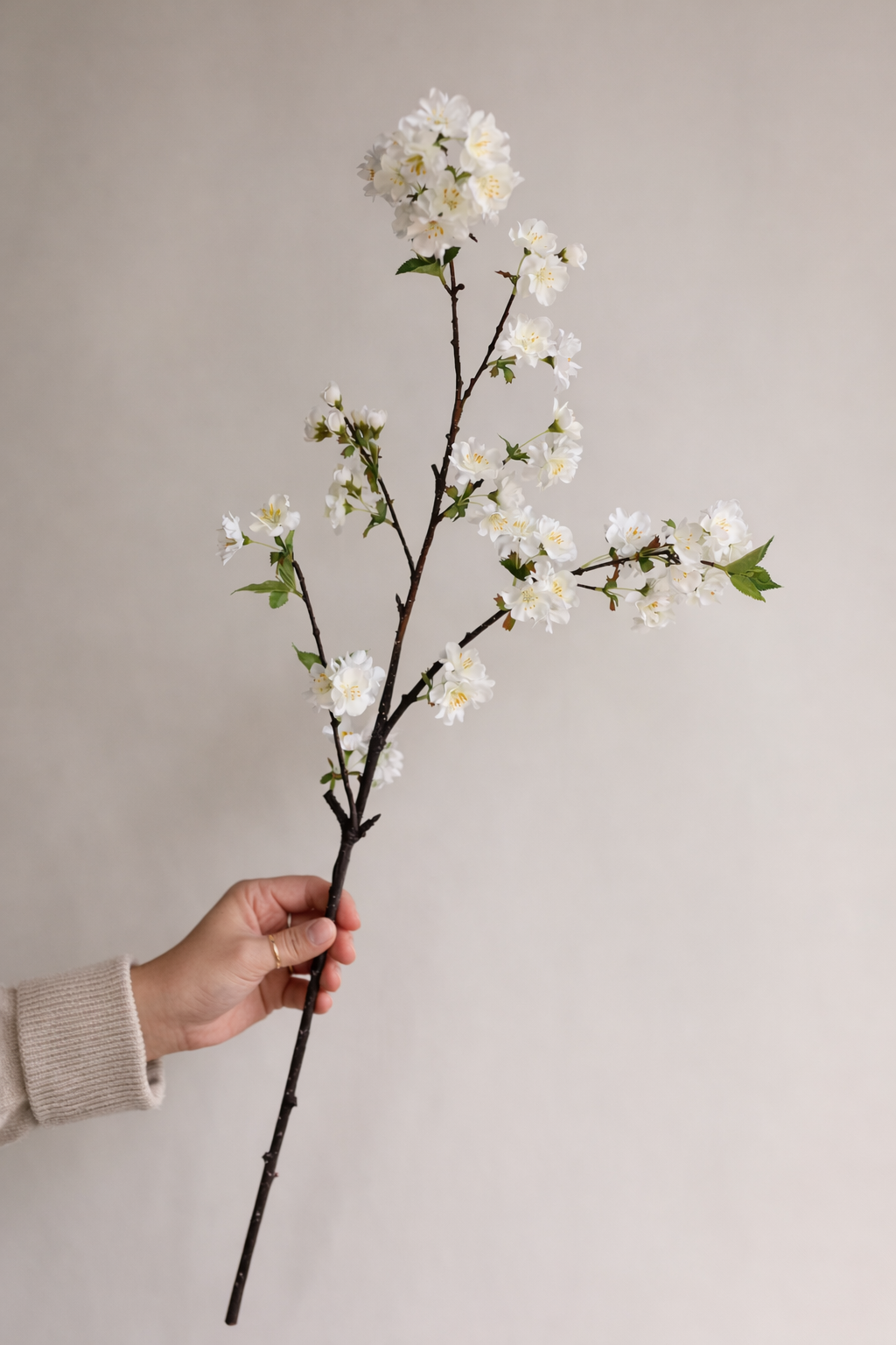 Cherry Blossom Branch : Light Pink / Short-19"