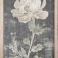 35x18 Dark Vintage Botanicals