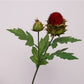 19.5"Globe Thistle 2 buds: Deep Red