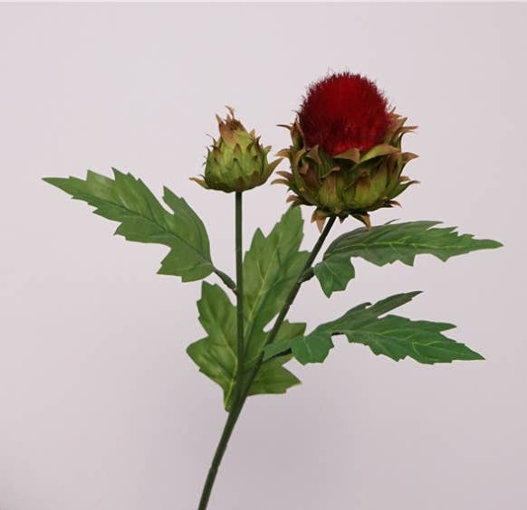 19.5"Globe Thistle 2 buds: Deep Red