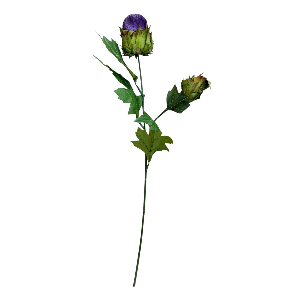19.5"Globe Thistle 2 buds: Deep Red
