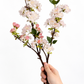 Cherry Blossom Branch : Light Pink / Short-19"