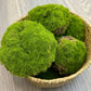 Lifelike Mixed Sizes Artificial Moss pad