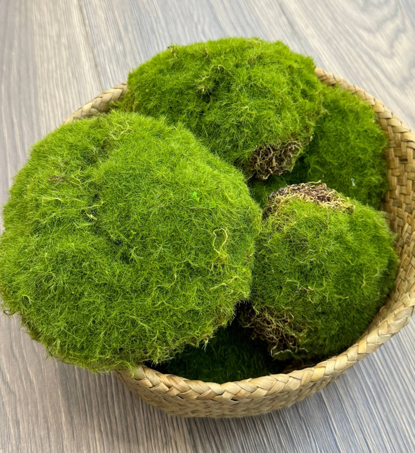 Lifelike Mixed Sizes Artificial Moss pad