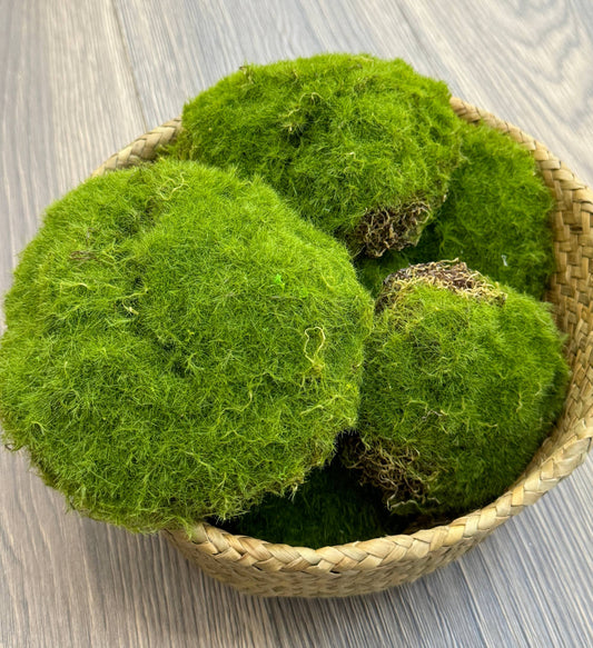 Lifelike Mixed Sizes Artificial Moss pad