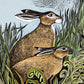 Adult Jigsaw Puzzle Angela Harding: Rathlin Hares (500 pieces) by: Jigsaw; 1 pages / English