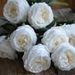 17"Real touch English Austin Cabbage Rose Stem: Pure White