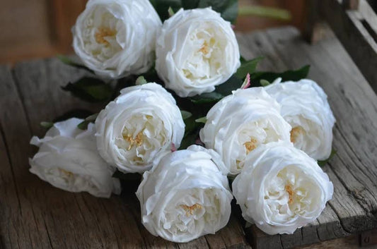 17"Real touch English Austin Cabbage Rose Stem: Pure White