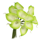 Pack of 10-real touch calla lily green color palette: Clover Green