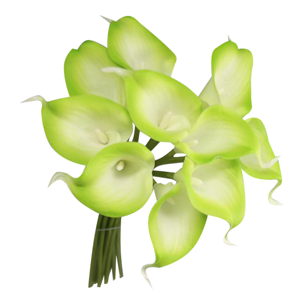 Pack of 10-real touch calla lily green color palette: Clover Green