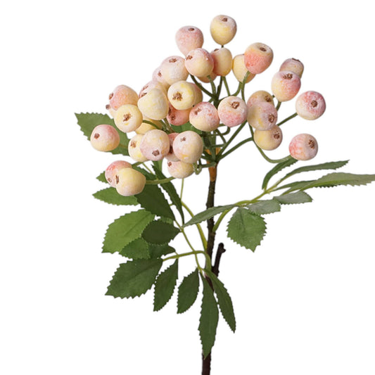 14” Berry Picks Frosty:Peach Champagne