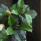 30"Artificial Magnolia Stem w/ Buds