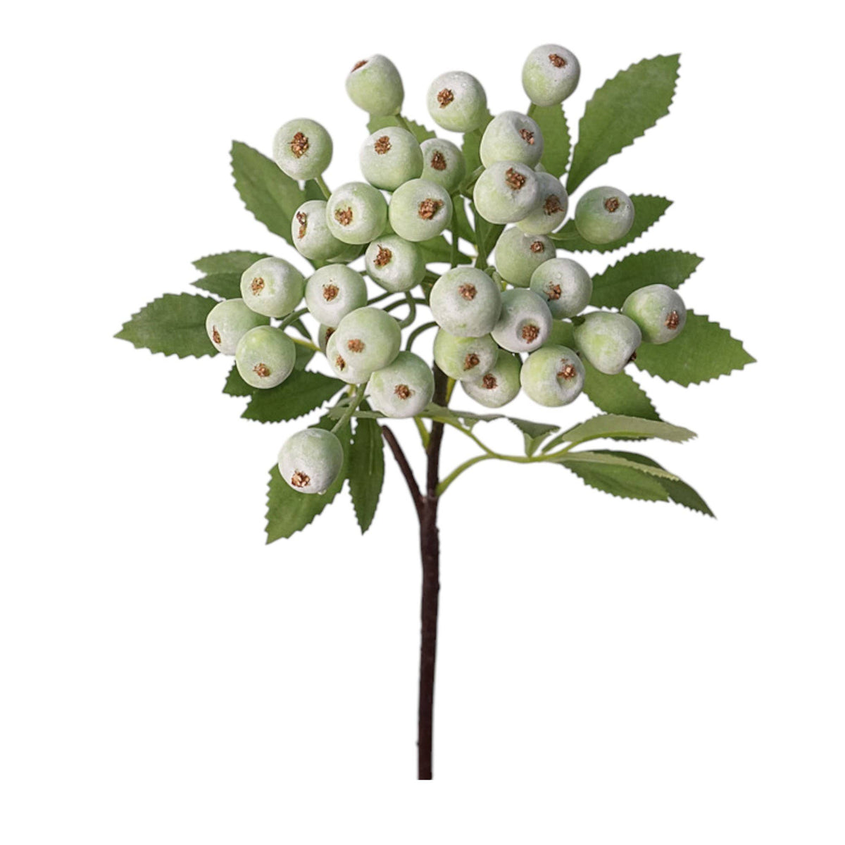 14” Berry Picks Frosty:Peach Champagne