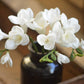 20" Soft Real Touch  Freesia: Soft Coral