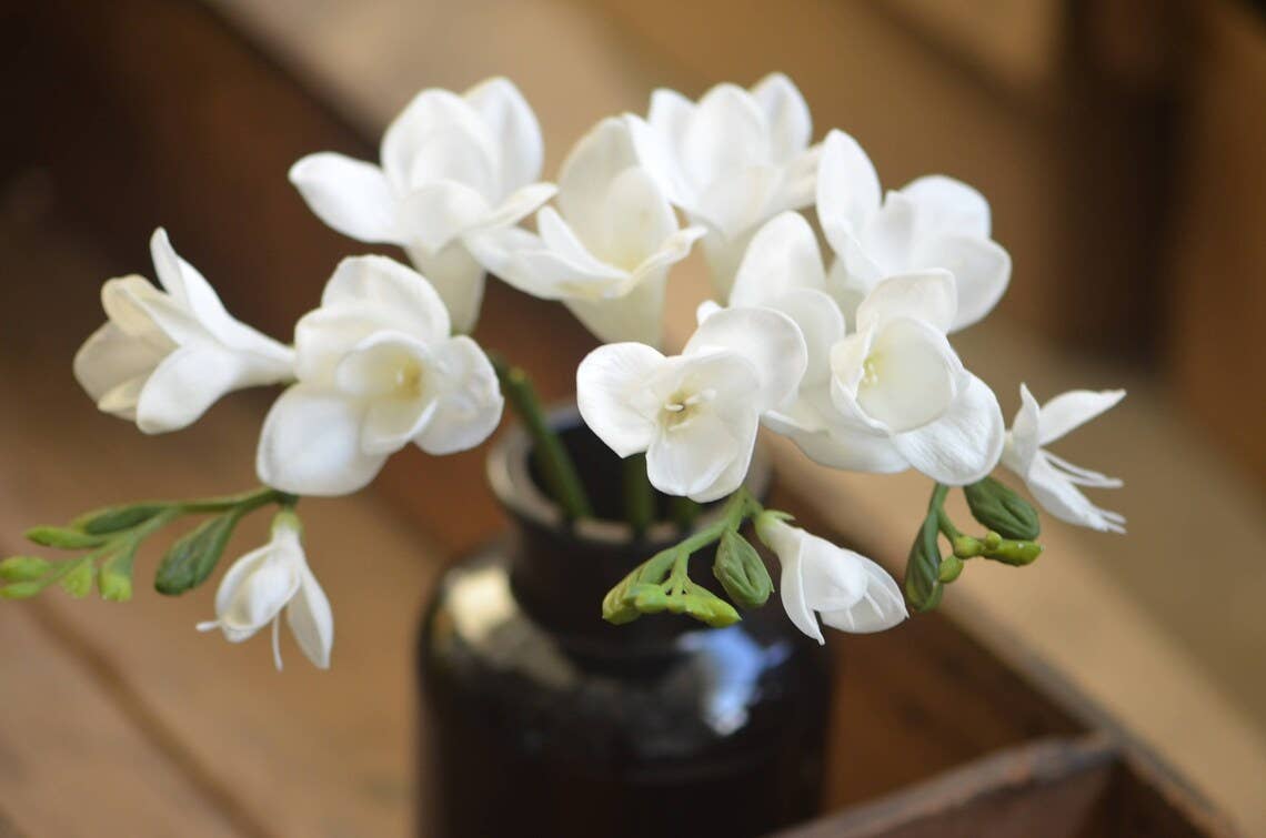 20" Soft Real Touch  Freesia: Soft Coral