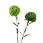 21.5" Realistic Faux Dianthus Green Ball Fresh Green stem: Fresh Green