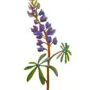 Lupine Flower Painted Garden Pick