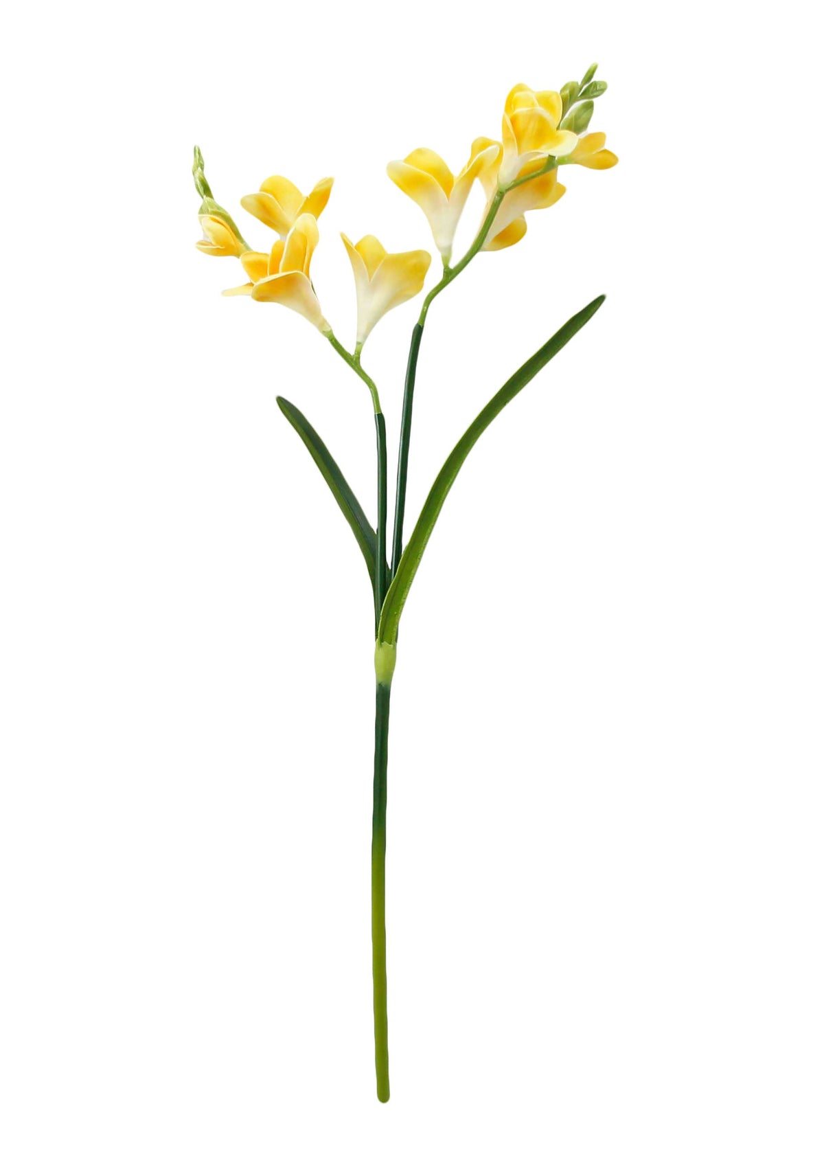 20" Soft Real Touch  Freesia: Soft Coral