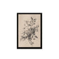 24x36 Sketched Botanical Set