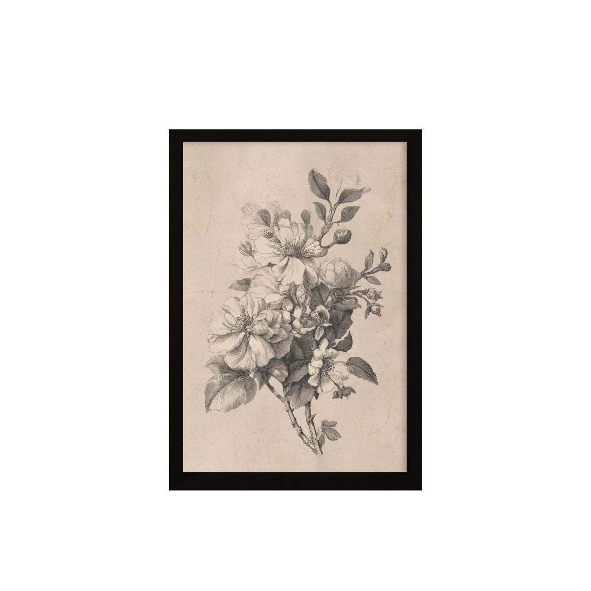 24x36 Sketched Botanical Set