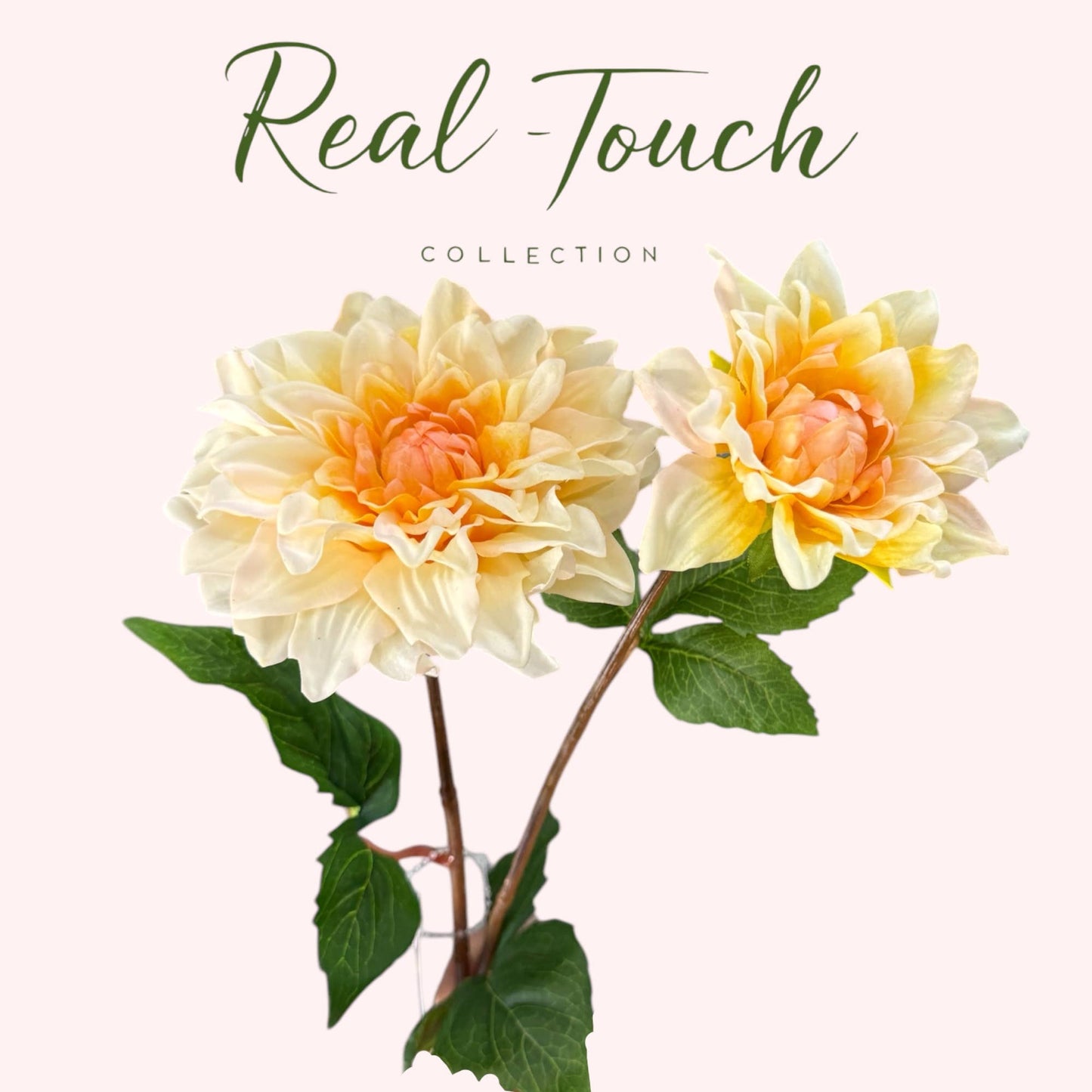24" Lifelike Real Touch Dahlia -2 flowers: Soft Yellow Orange