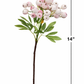 14” Berry Picks Frosty:Peach Champagne