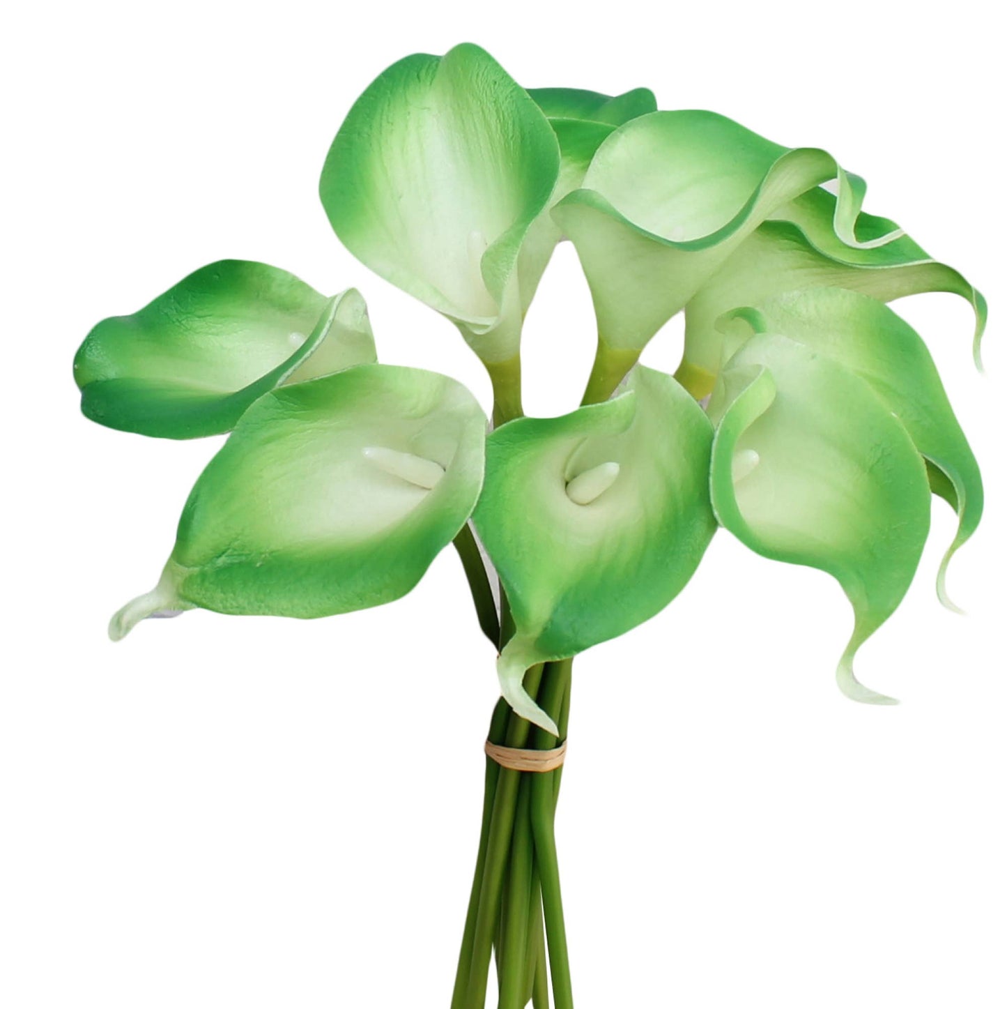 Pack of 10-real touch calla lily green color palette: Clover Green